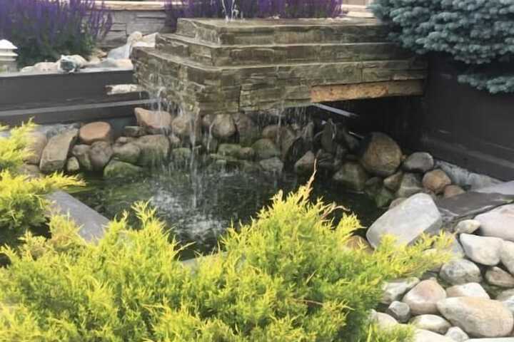 Property Grounds 58 of 83