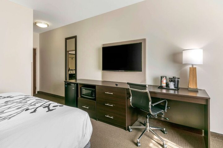 1 King Bed (16 of 20)