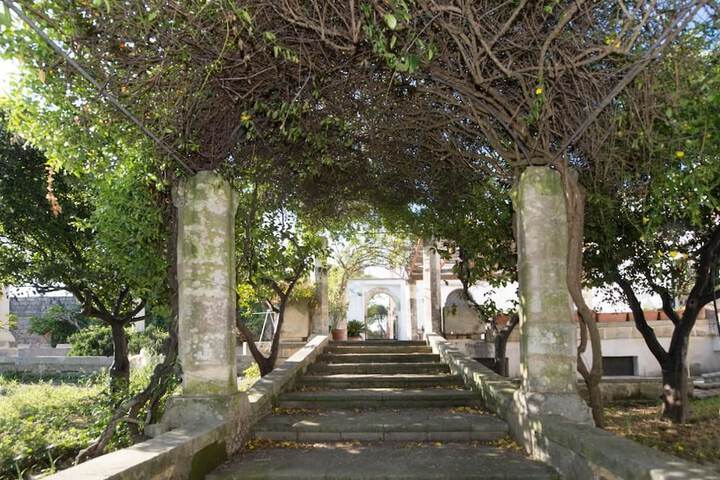 LA FORESTERIA DELLASTORE