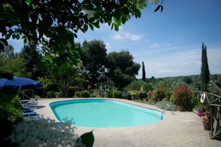 Pool 44 of 50