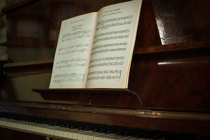 Photo 28