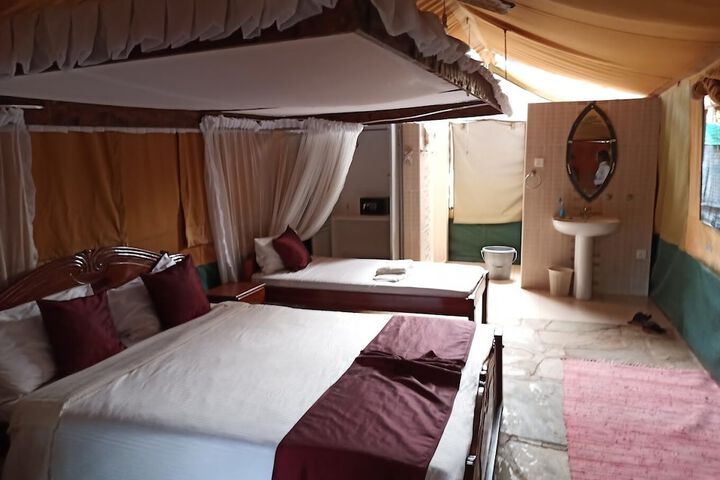 Room 19 of 66