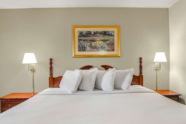 1 King Bed (8 of 8)