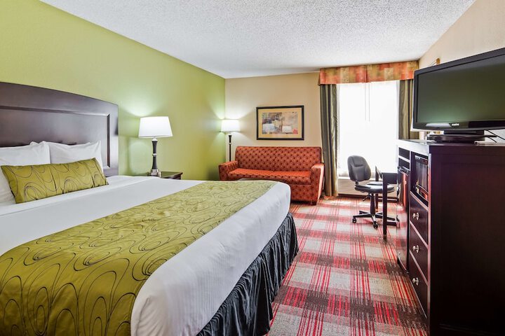 1 King Bed (1 of 15)