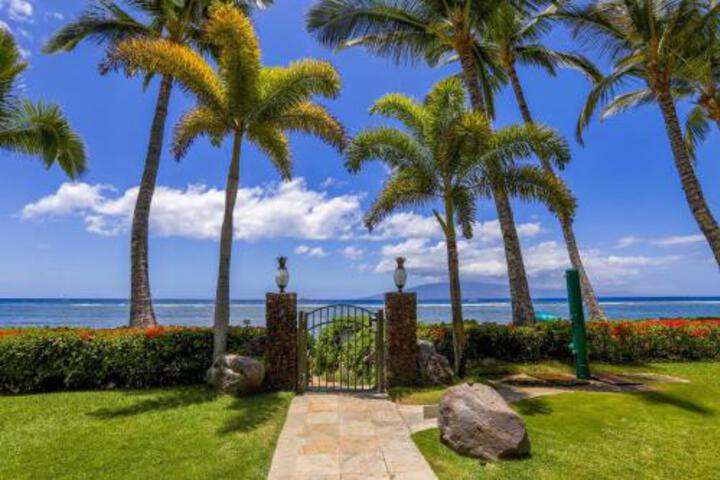305 Lahaina Shores Oceanfront Studio in Lahaina, HI