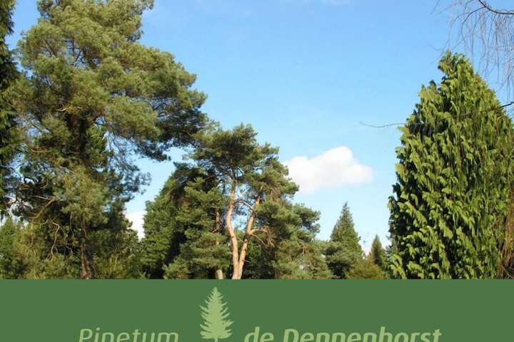 Outdoor Activities 24 of 40