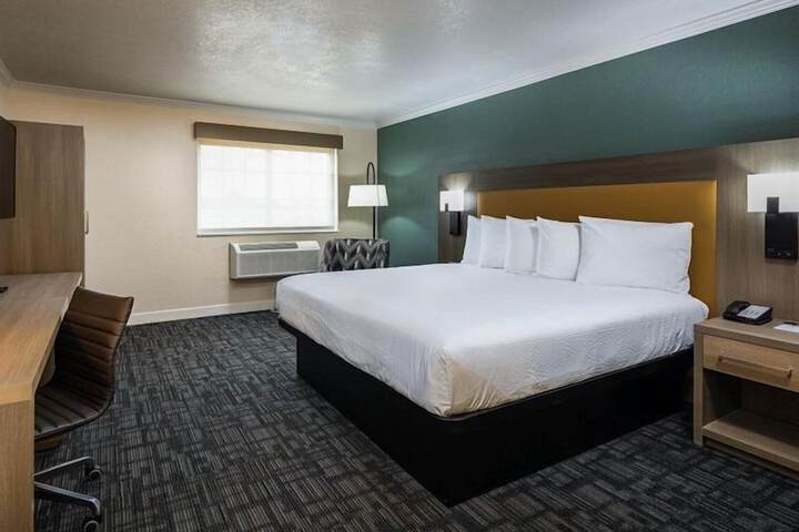 1 King Bed (14 of 18)