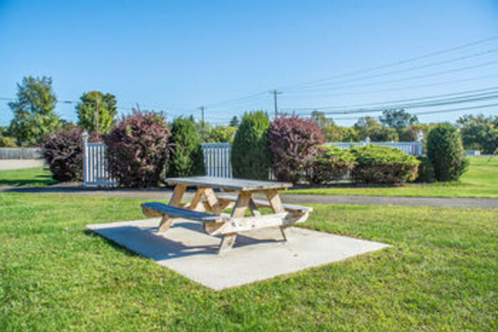 BBQ or Picnic Area