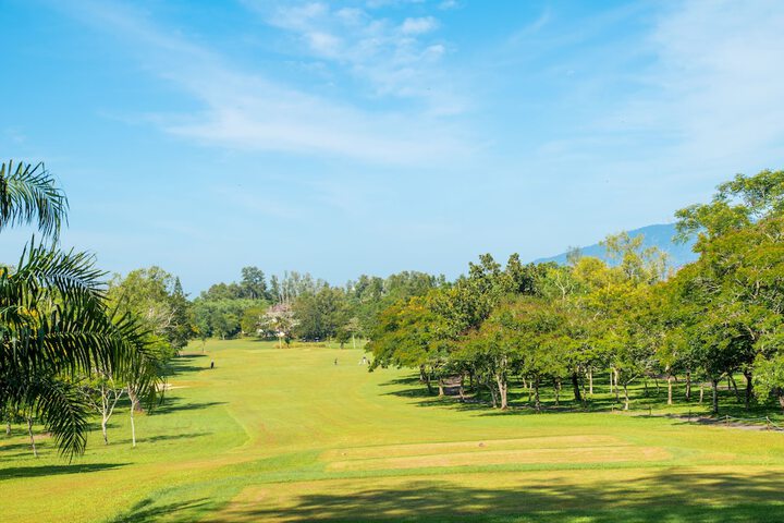 Golf 29 of 71