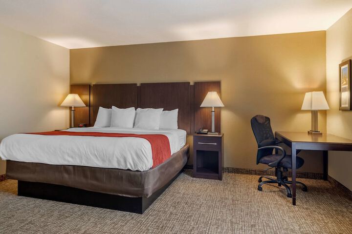 1 King Bed (3 of 8)