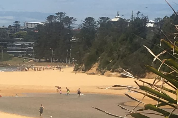 Beach 56 of 65