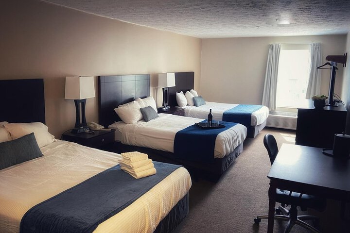 Room 3 of 83