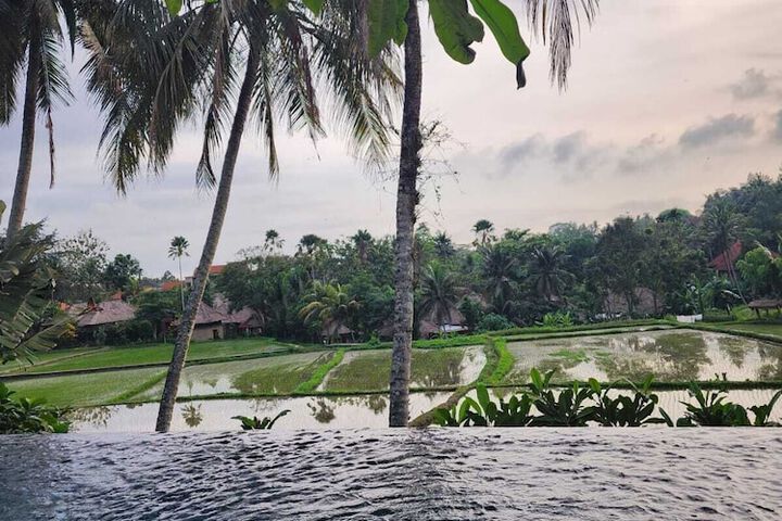 Hotel Pool