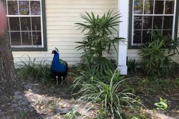 Hotel Exterior 34 of 75