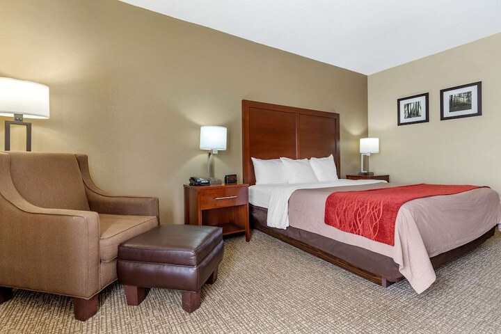 1 King Bed (11 of 13)