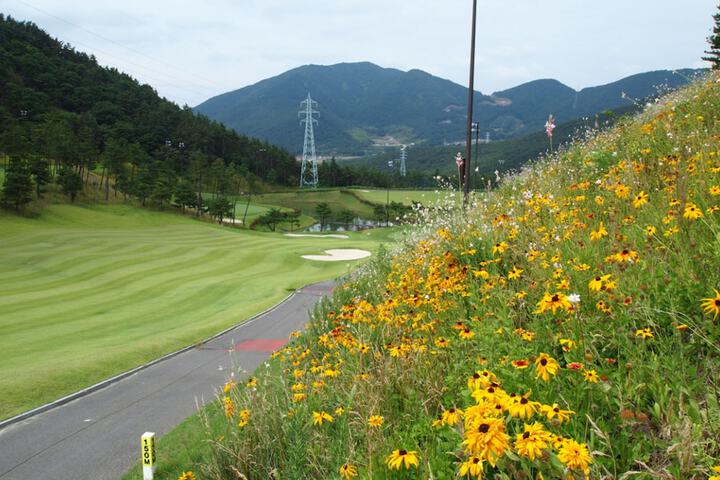 Golf 18 of 26