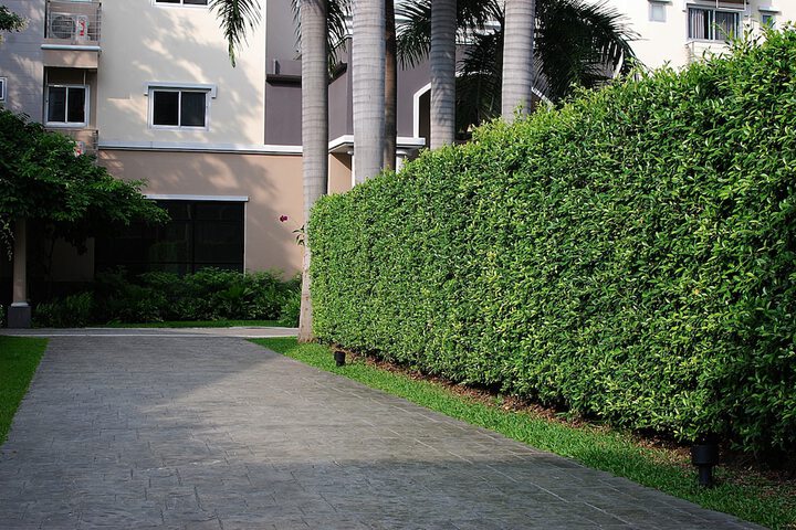 Hotel Exterior 137 of 150