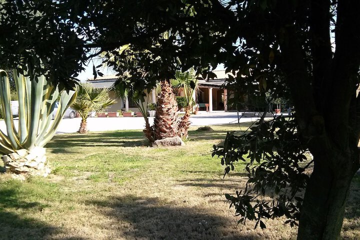 Property Grounds 23 of 31