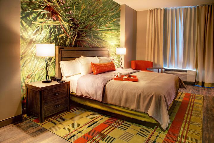 1 King Bed (9 of 11)
