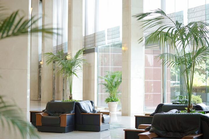 Entrance & Lobby
