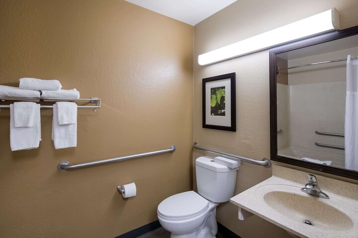 1 King Bed Accessible (8 of 9)