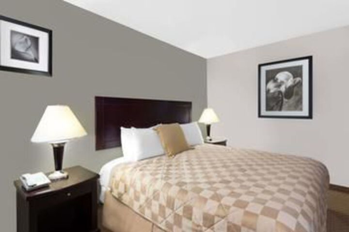 Suite Photo
