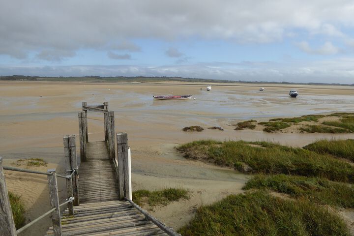 Beach 8 of 50