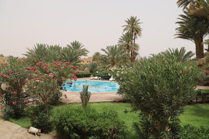 Hotel Pool