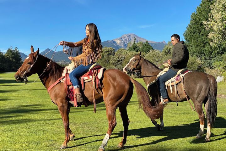 Horseback riding