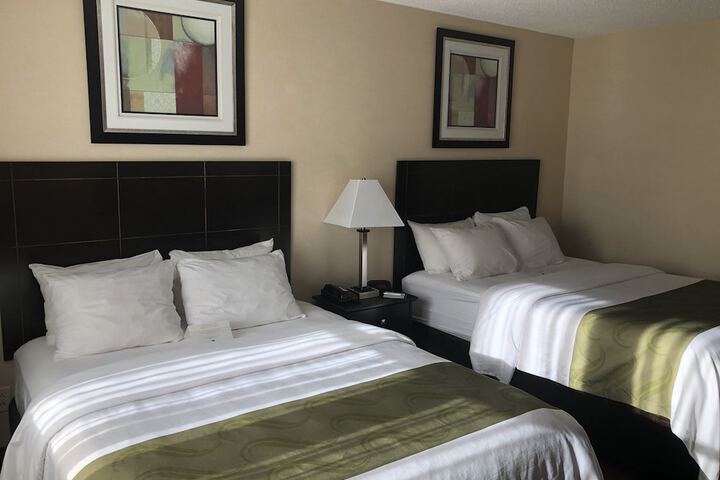 2 Queen Beds (1 of 16)