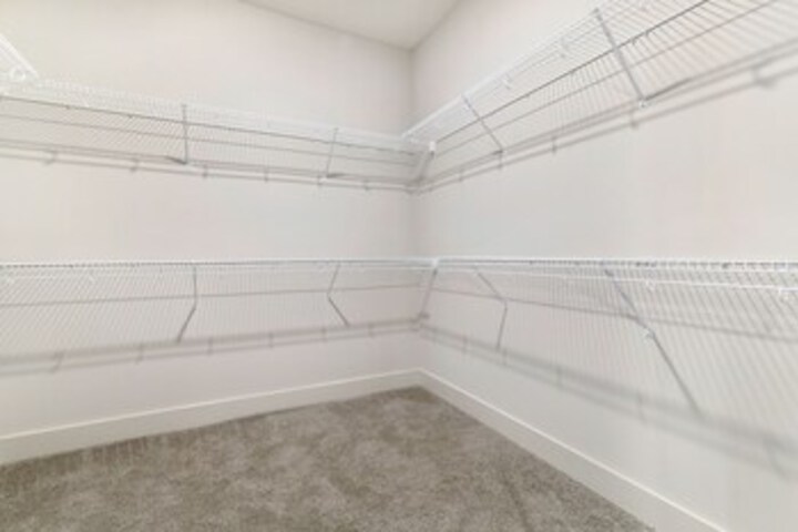 Health and Fitness 12 of 61