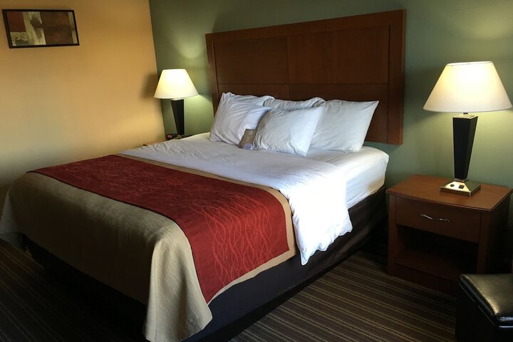 1 King Bed (7 of 12)