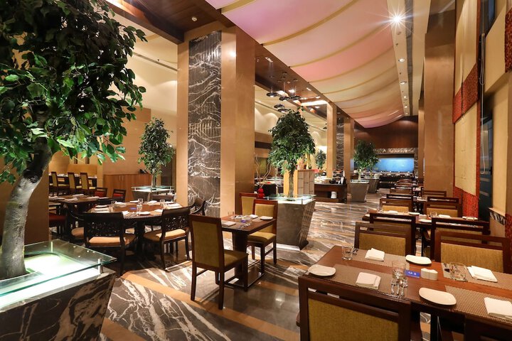 Dining 62 of 113