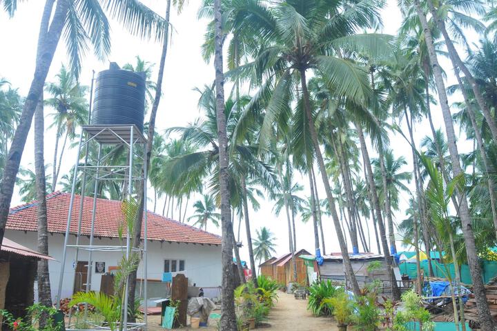 Palolem Coconut Tree Beach Huts
