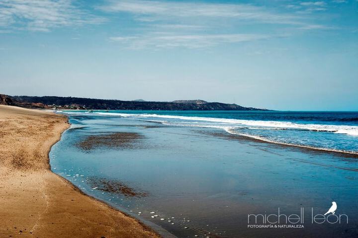 Beach 37 of 47