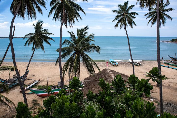 Beach 56 of 59
