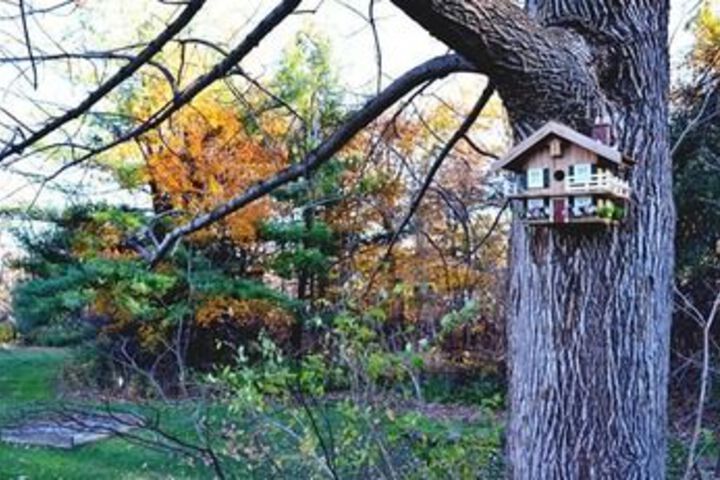 Property Grounds 23 of 23