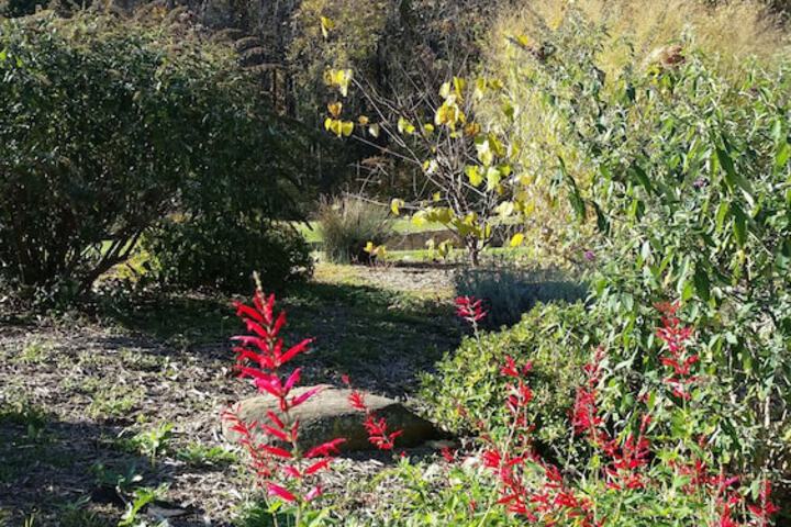 Hotel Exterior 56 of 66