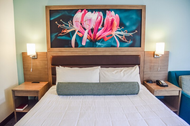Standard | King Bed (5 of 5)