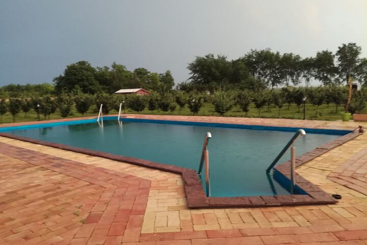 Pool 18 of 52