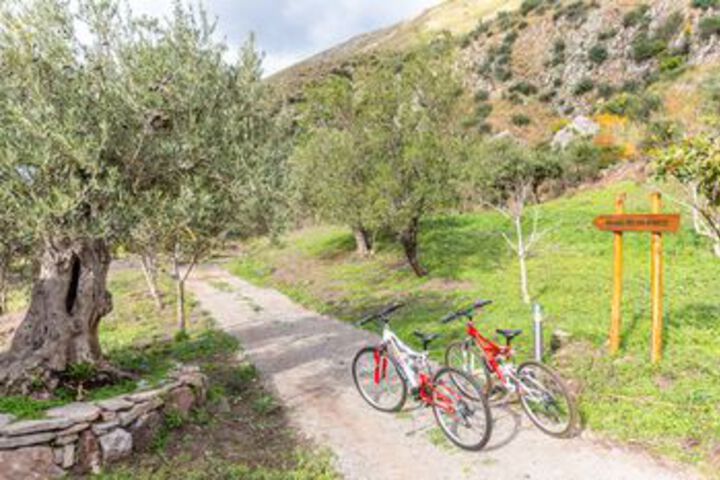 Property Grounds 14 of 23