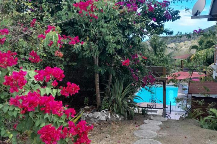 Charmant T3 climatisé Piscine privée
