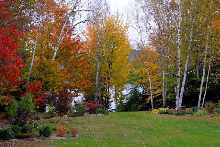Property Grounds 38 of 54