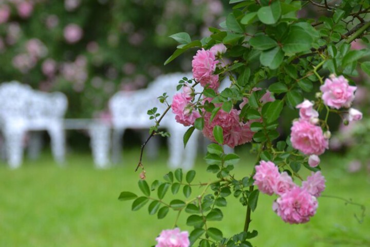 Hotel Exterior 108 of 108