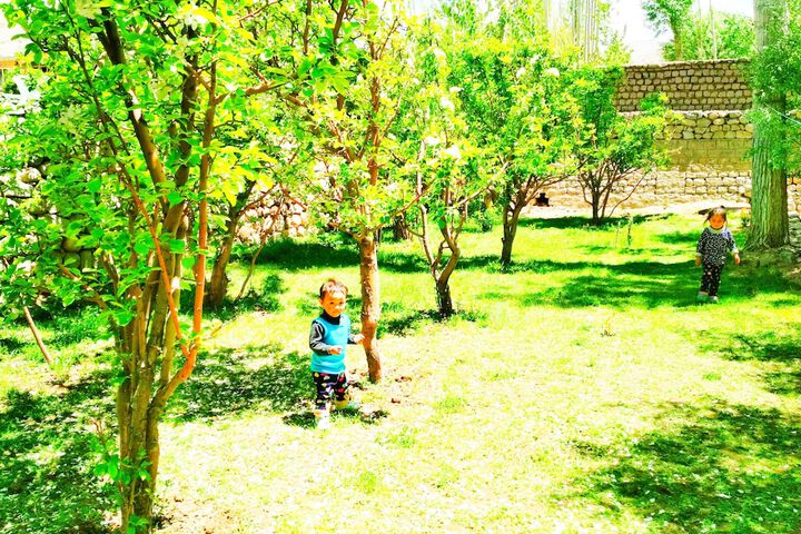 Childrens Activities 16 of 54