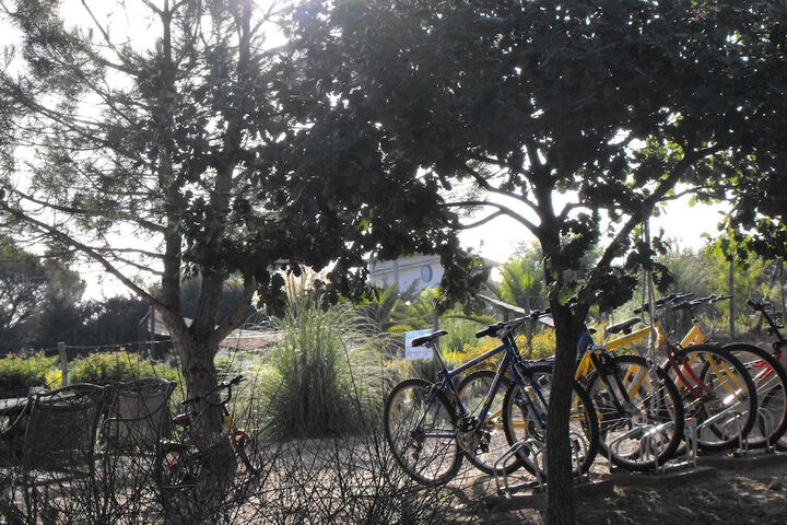Bicycling