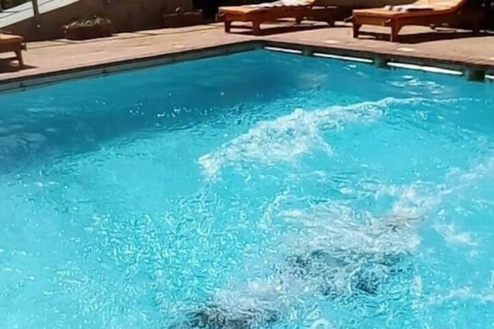 Pool 41 of 110