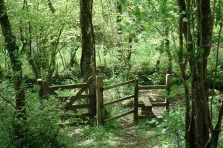 Spa and Wellness Pictures