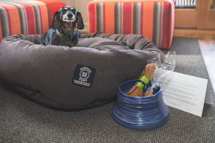 Pet Friendly 119 of 142