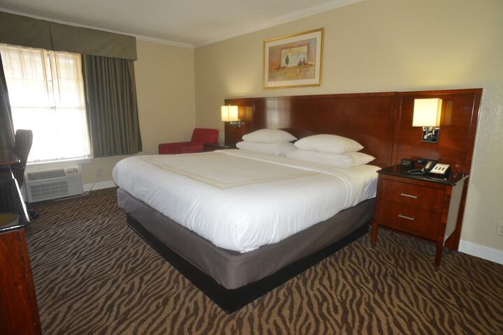 Standard Single Room 1 King Bed (1 of 17)